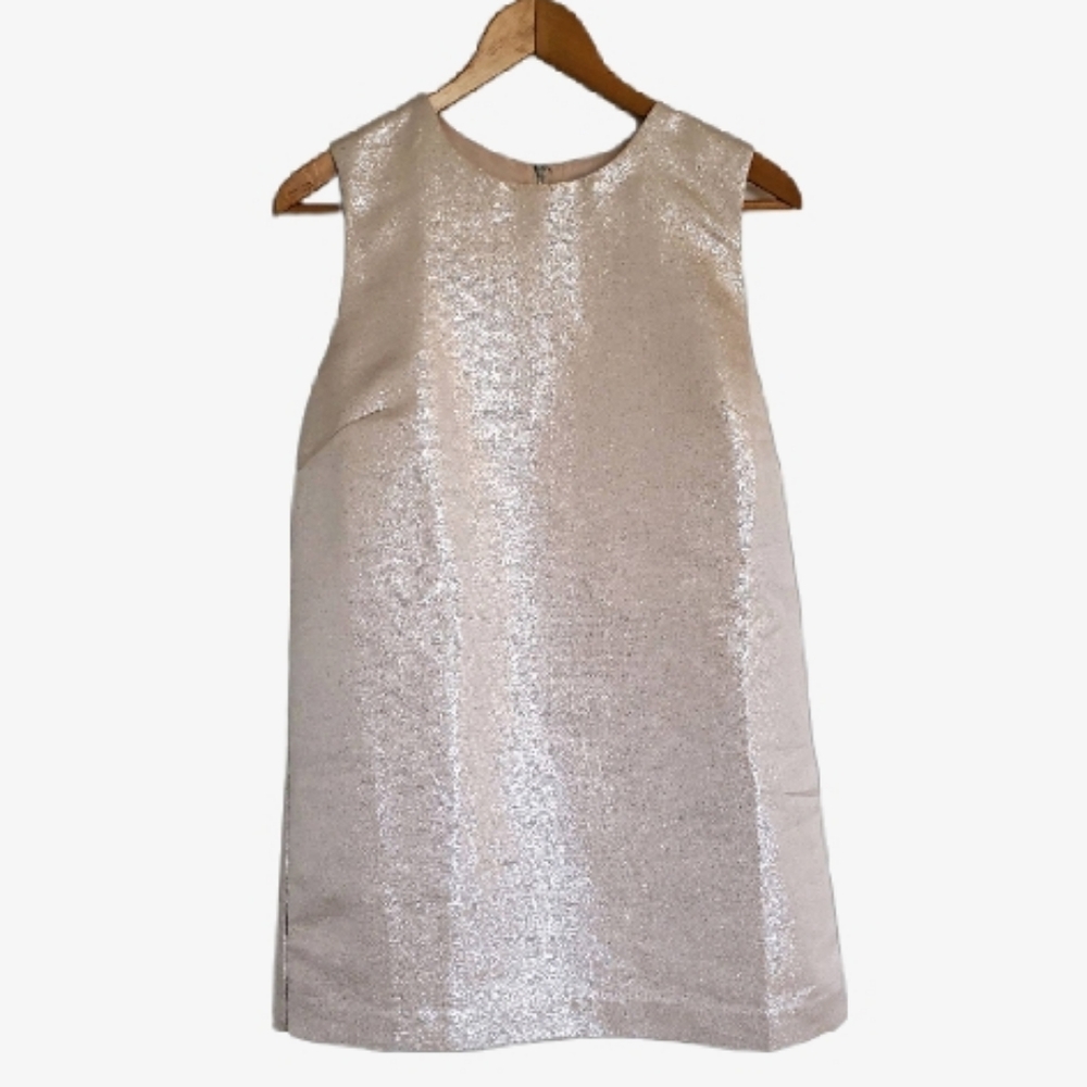 Forever 21 Sheath Shift Mini Dress Mod Retro Style Metallic Silver Cream